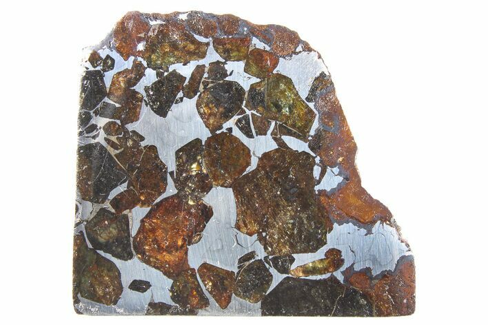 Seymchan Pallasite Meteorite Slice ( g) - Russia #263204